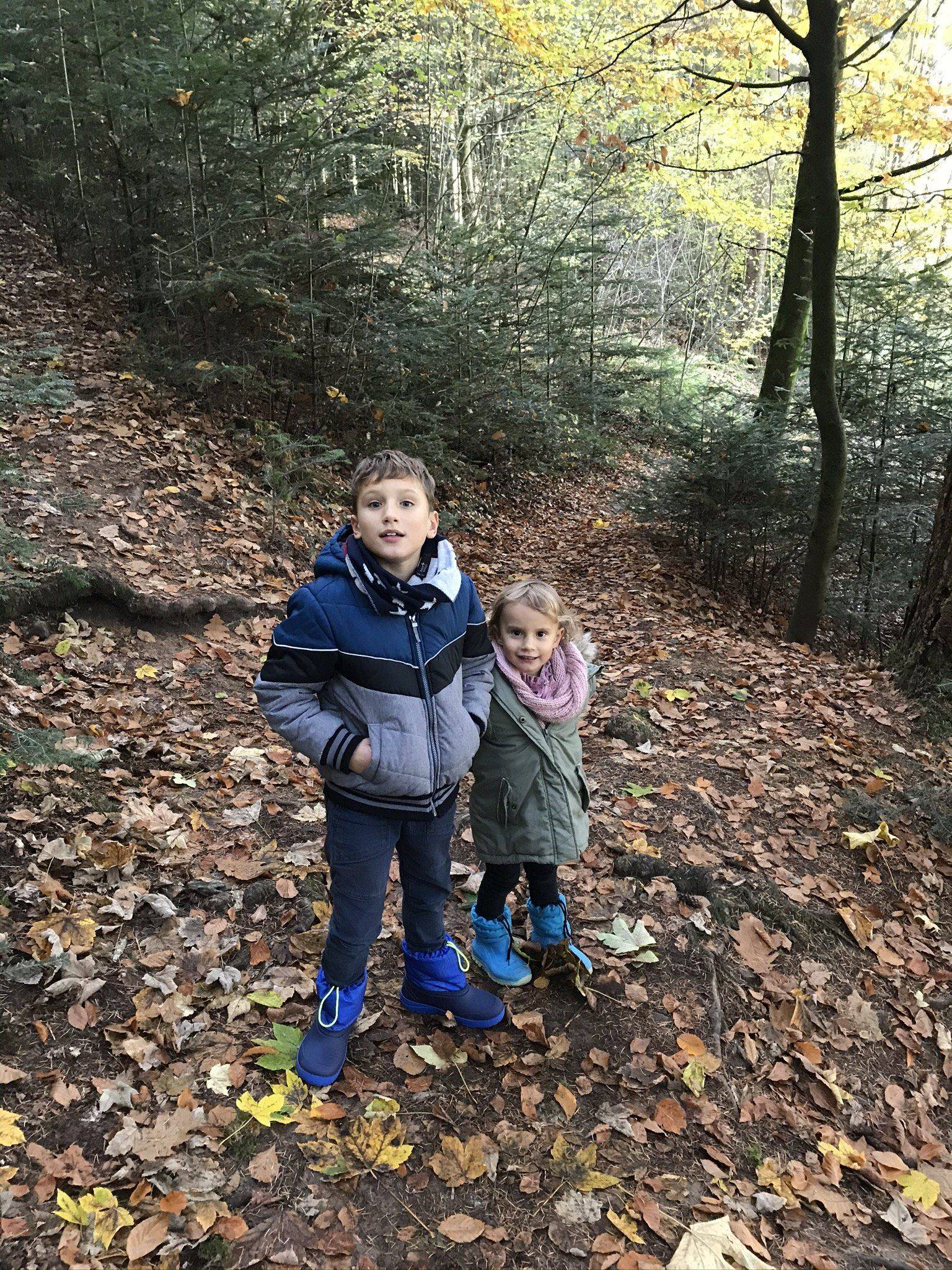 Haslach Erlebnispfad Wald
