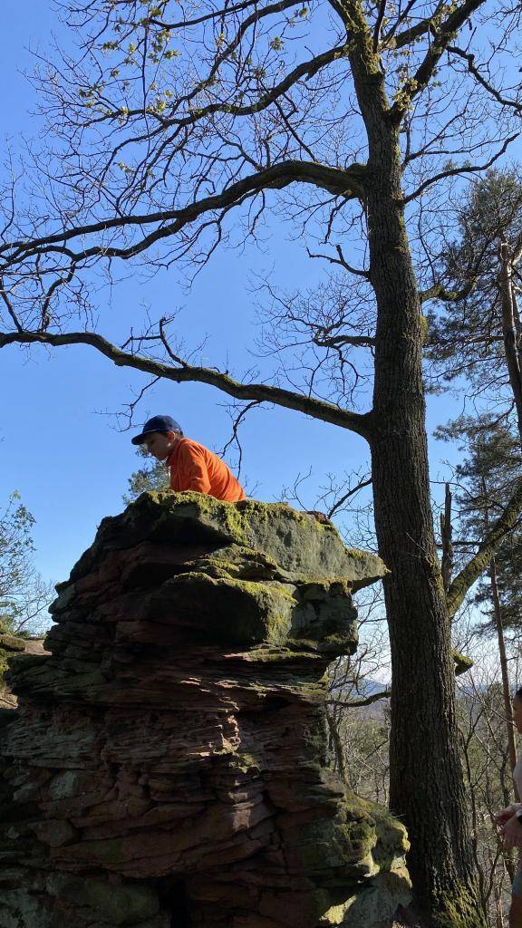 Buntstandsteinweg Burg Trifels