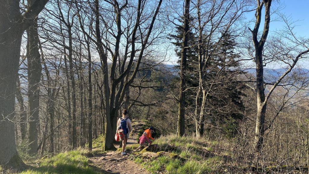 Burg Trifels Wandern