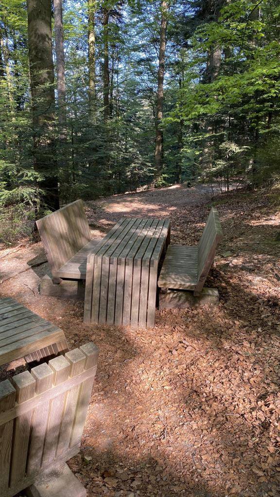 Rastplatz Brandsteinweg auf dem Wildnispfad