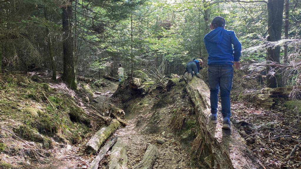 Wildnispfad Baden-Baden