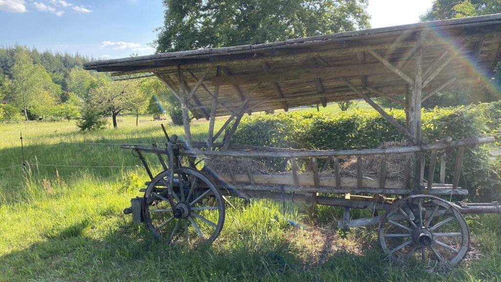 Heuwagen-Lindelbrunn