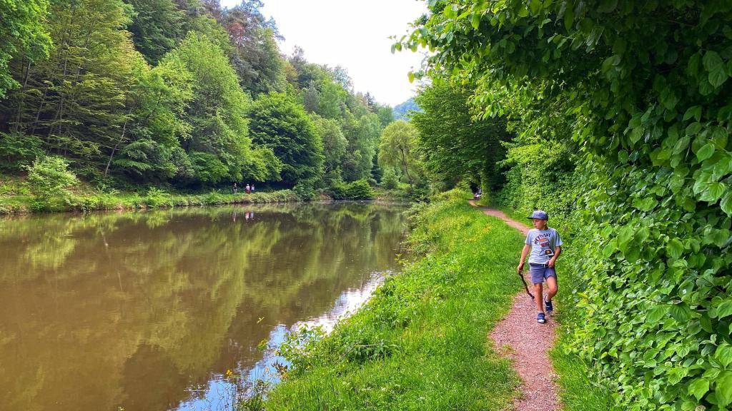 Hauenstein Wandern