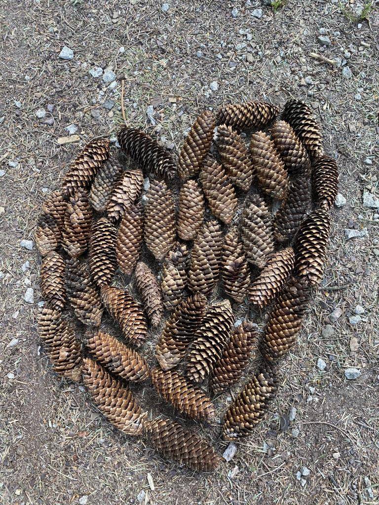 Luchspfad Schwarzwaldliebe