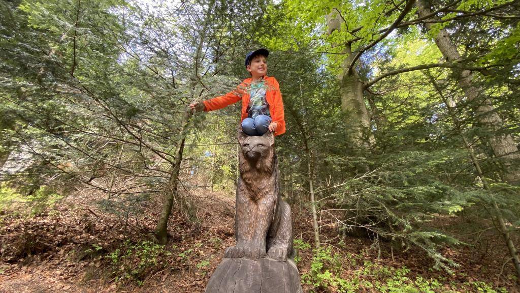 Luchspfad Nordschwarzwald