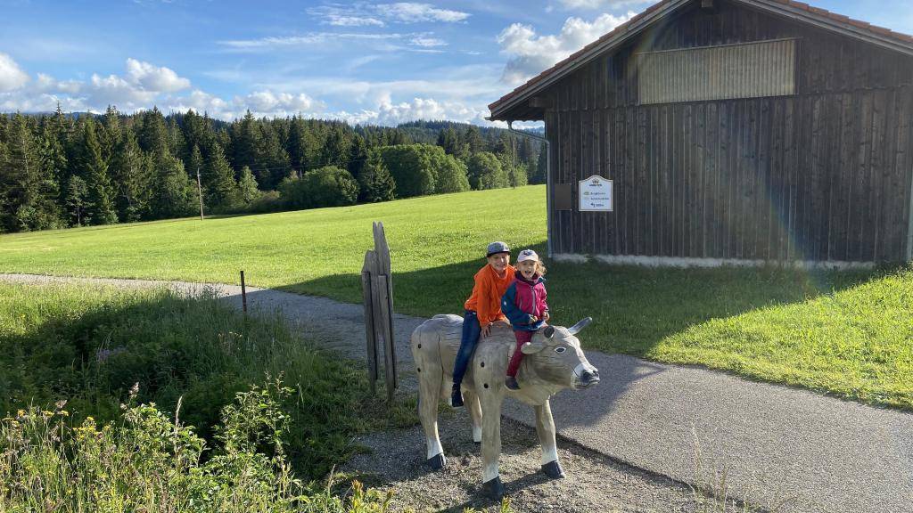 Bauernhoftiere Diepolz