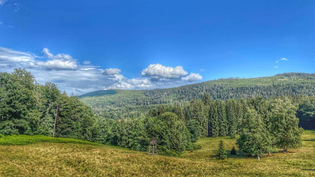 Ausblick Schwarzwald
