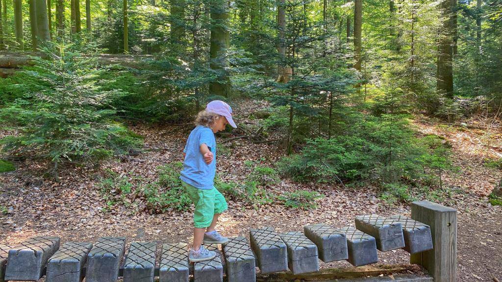 Wildkatzenpfad Balancieren