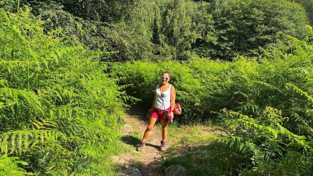 Sommer Wanderung Wildkatzenpfad