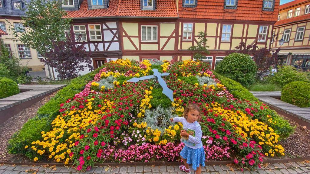 Blumenuhr Wernigerode