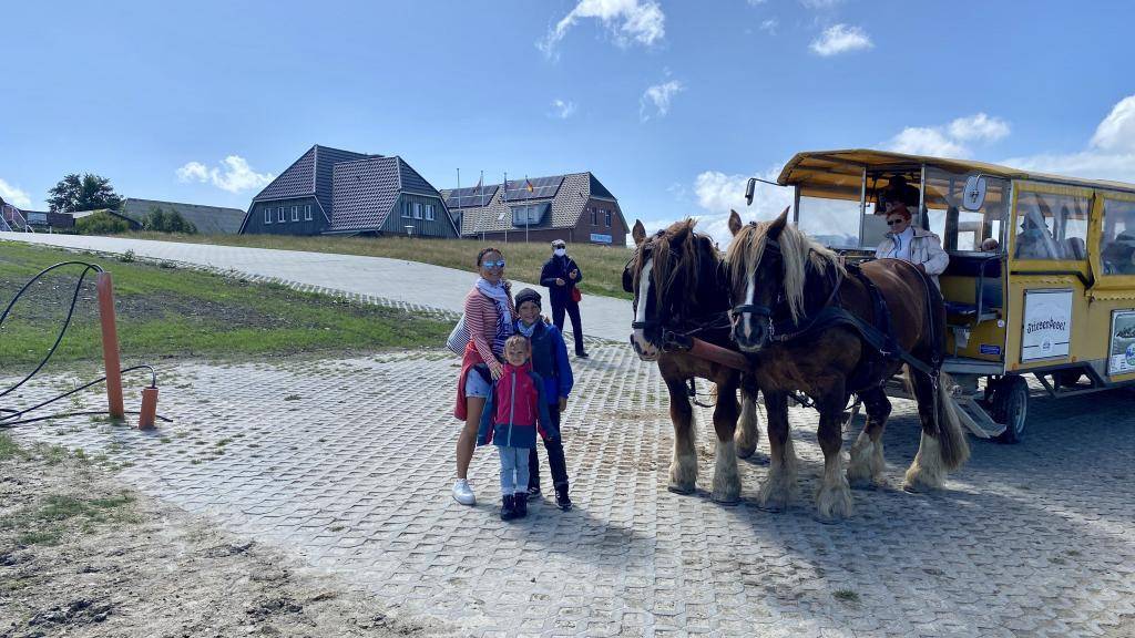 Pferdekutsche Hallig Hooge