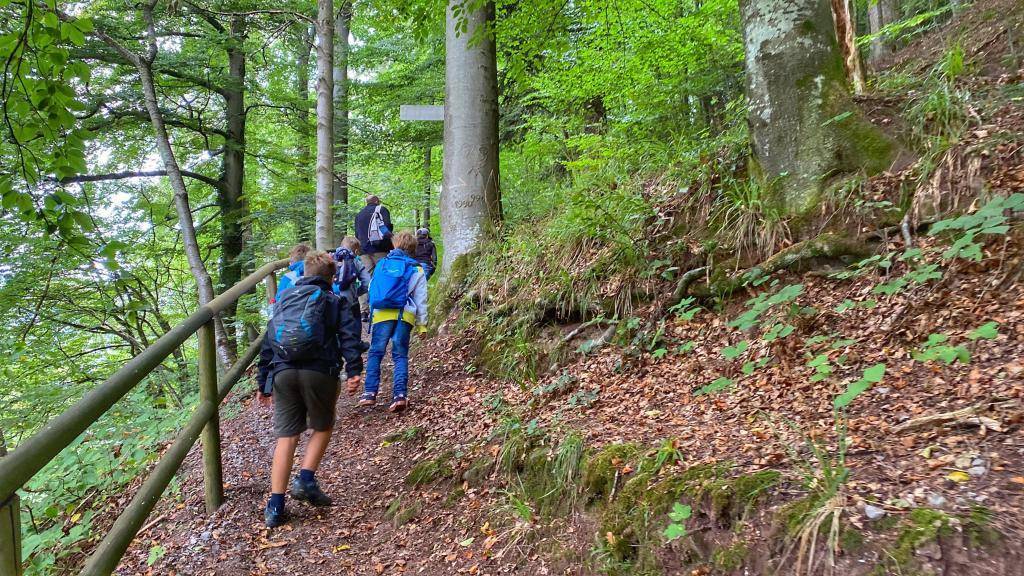 Wandern Kinder Schwarzwald
