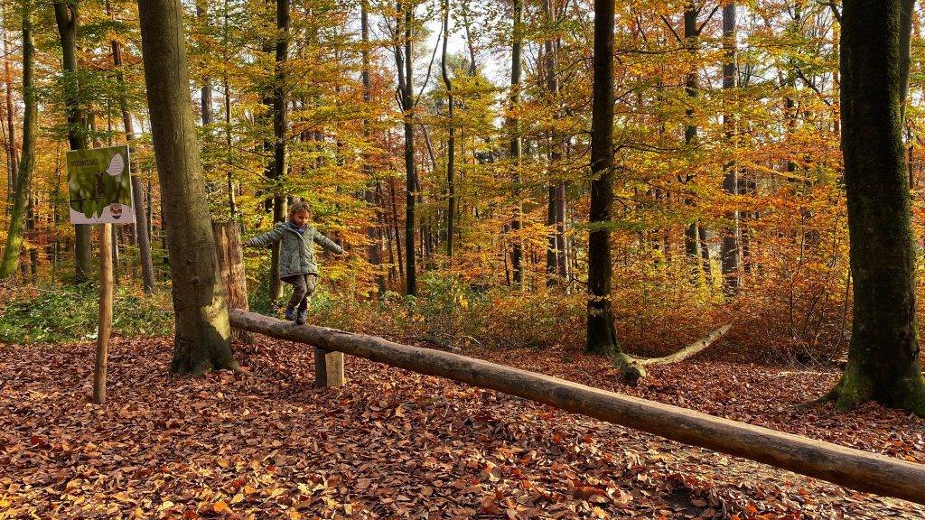 Ausflug Familie Schwarzwald