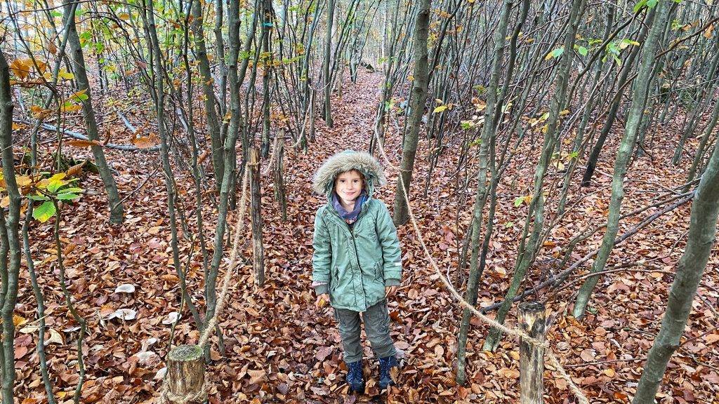 Waldlabyrinth Schwarzwald