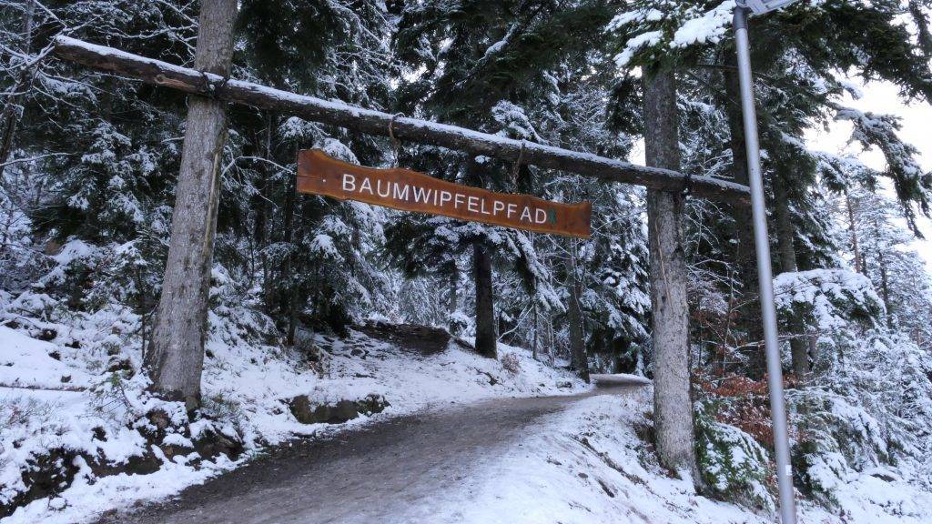 Baumwipfelpfad Bad Wildbad Winter