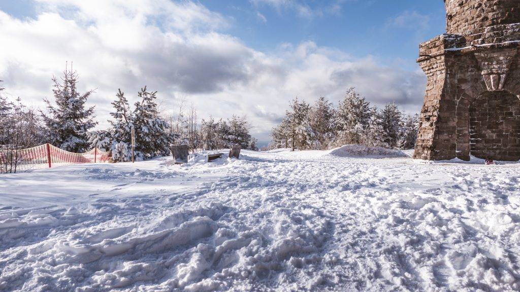 Badener Höhe im Schnee