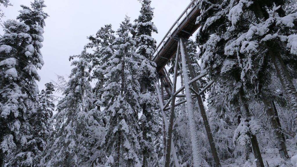 Baumwipfelpfad Winter Bad Wildbad
