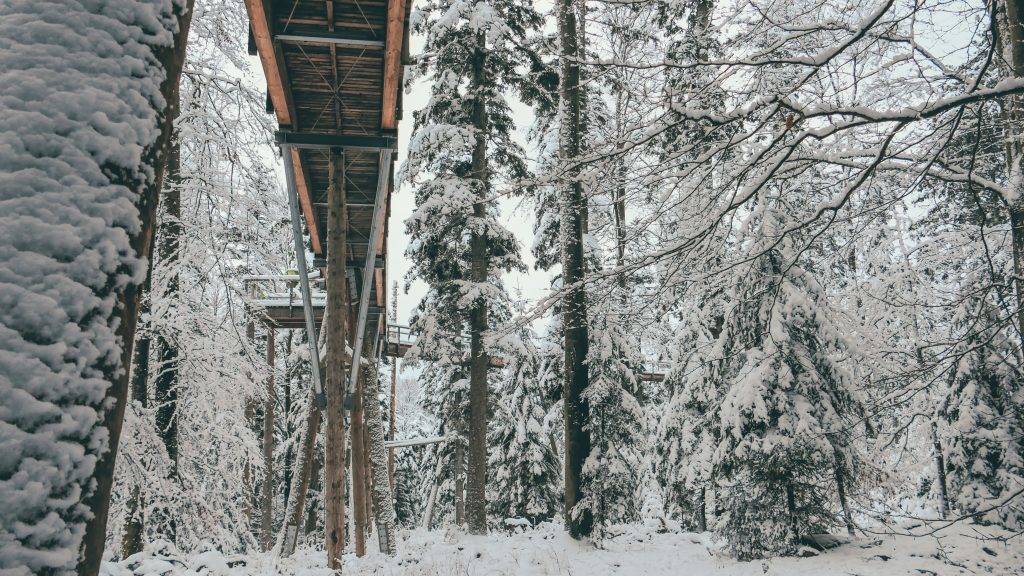 Baumwipfelpfad Winter