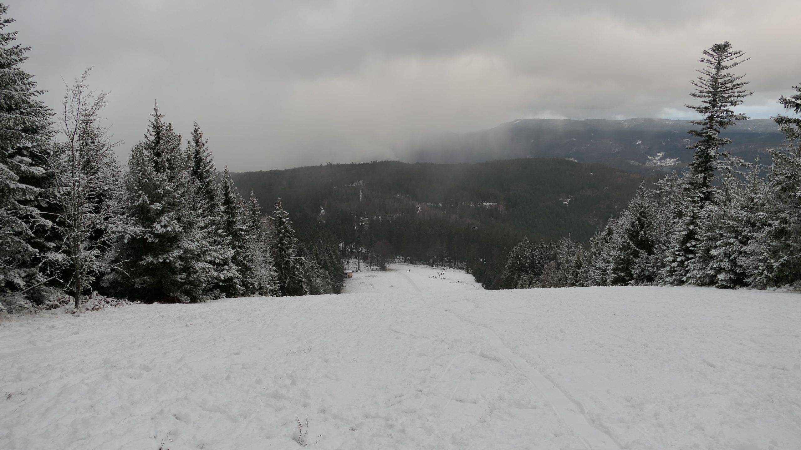 Rodeln Schwarzwald Kinder