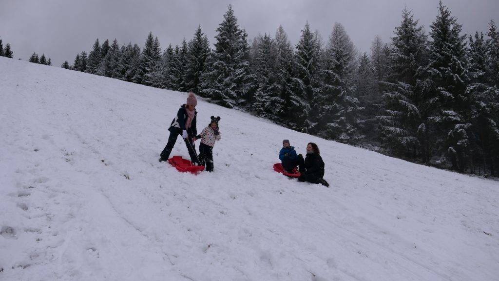 Schlittenfahren Forbach