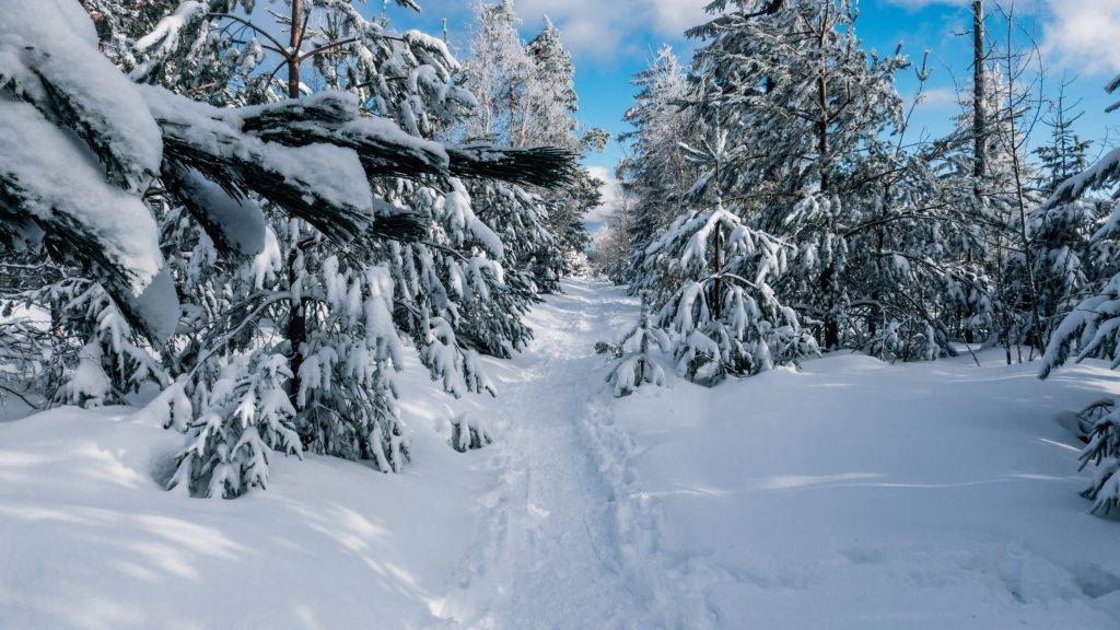Wandern Schnee Herrenwies