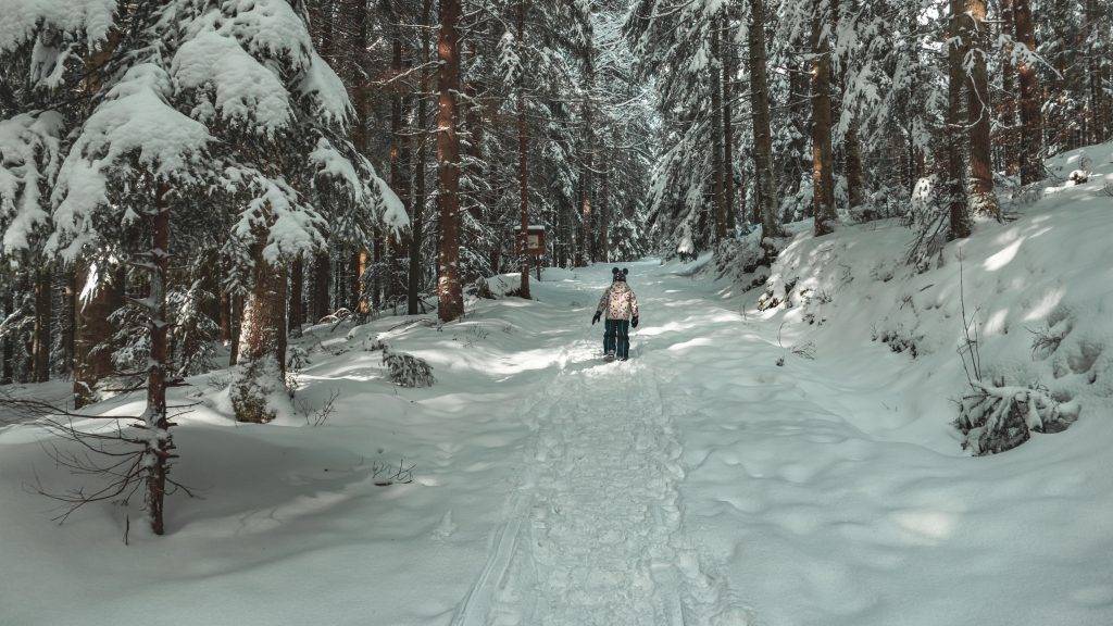 Winterwandern Kinder Schwarzwald