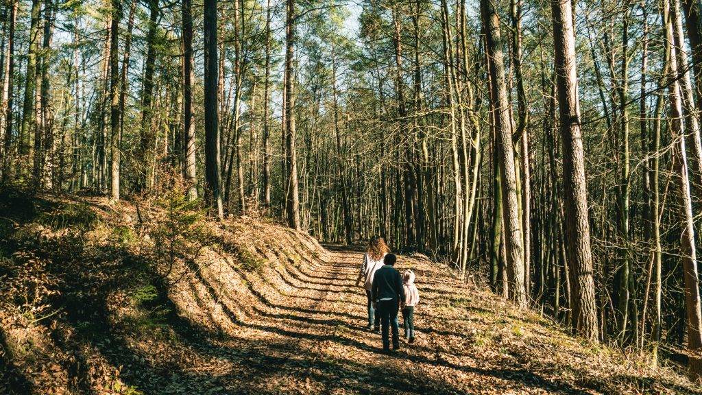 Familien Ausflug Wasbau