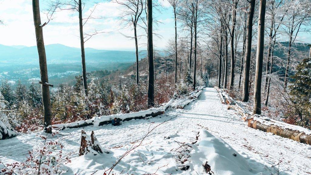 Winter Wonderland Schwarzwald
