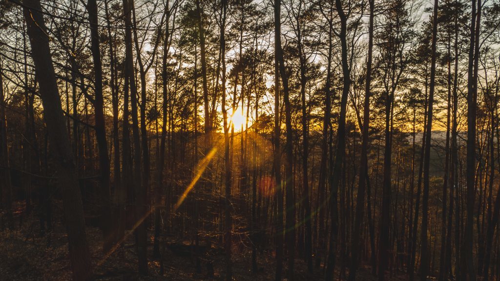 Sonnenunterang Geisgterschloss Tour
