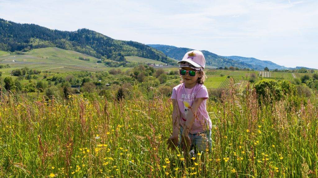 Blütenwiese Schwarzwald Kinder
