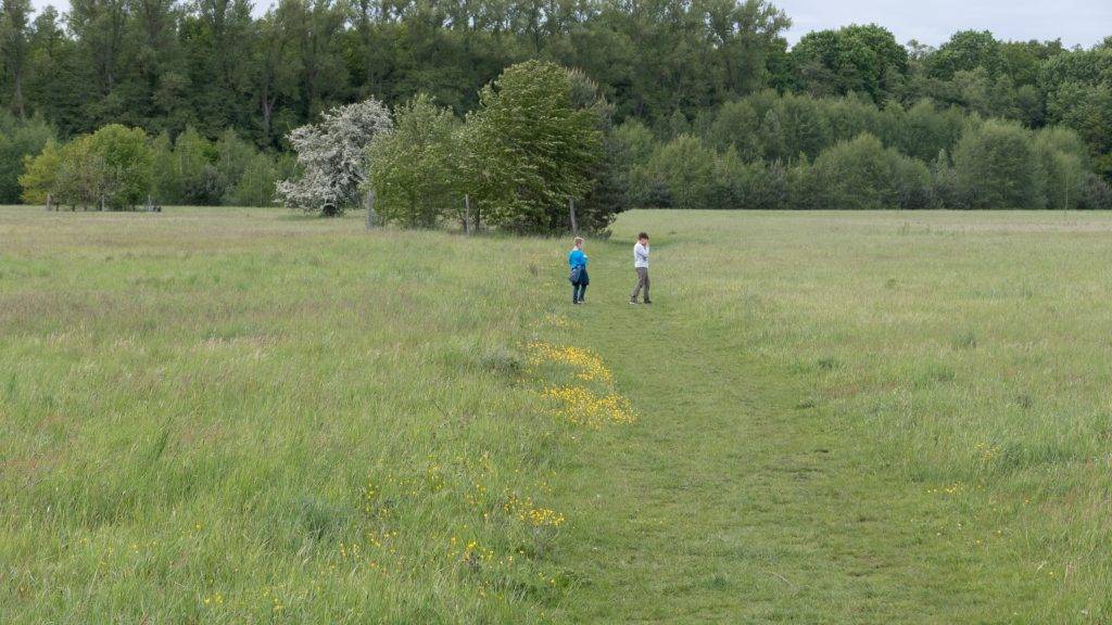 Flugwiese Dino Ttour