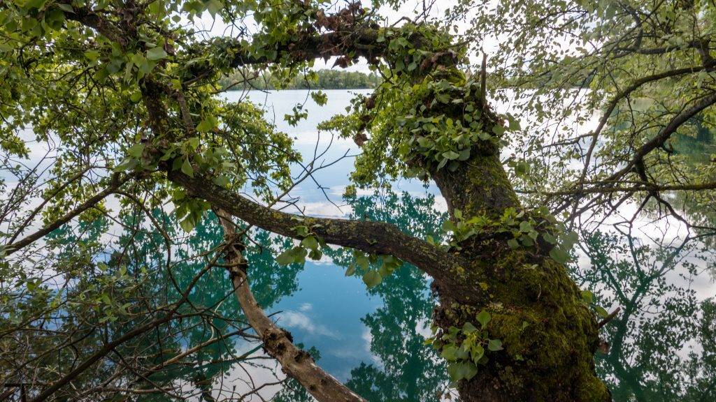 Neuried Badesee