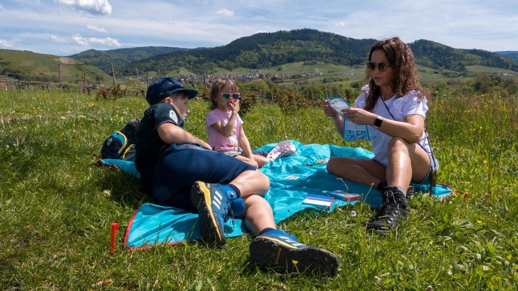 Picknick Insekten Rallye