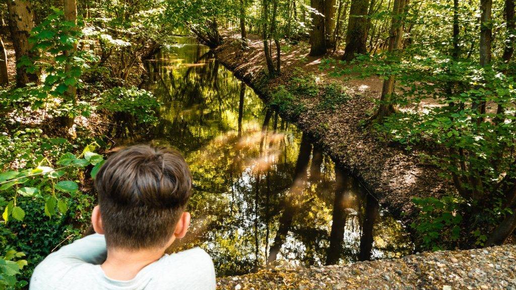 Ranschgraben Schifferstadt