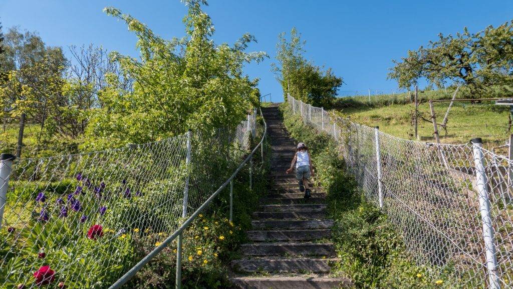 Stairway to heaven Schwarzwald