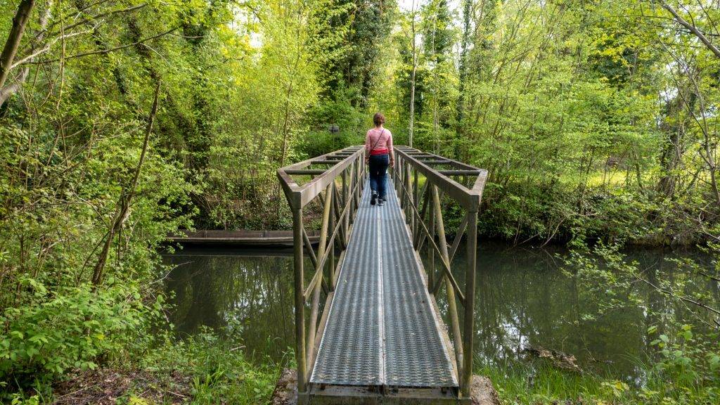 Wandern Schnakenpfd