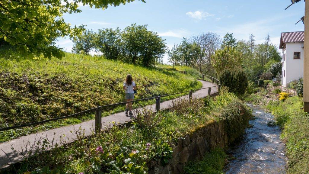 Wandern Steinbach Streuobstwiesen