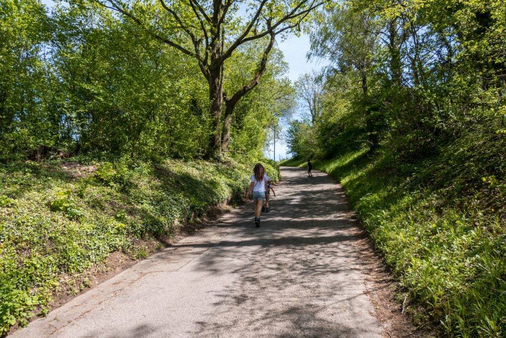 Wanderung Kinder Schwarzwald