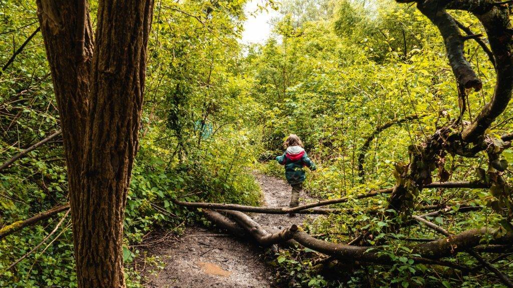 Auen-Wildnispfad Neuried