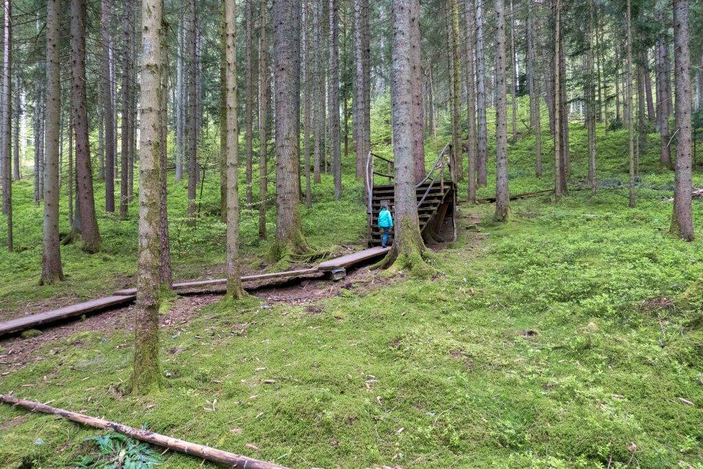 Holzbohlen Baiersbronn