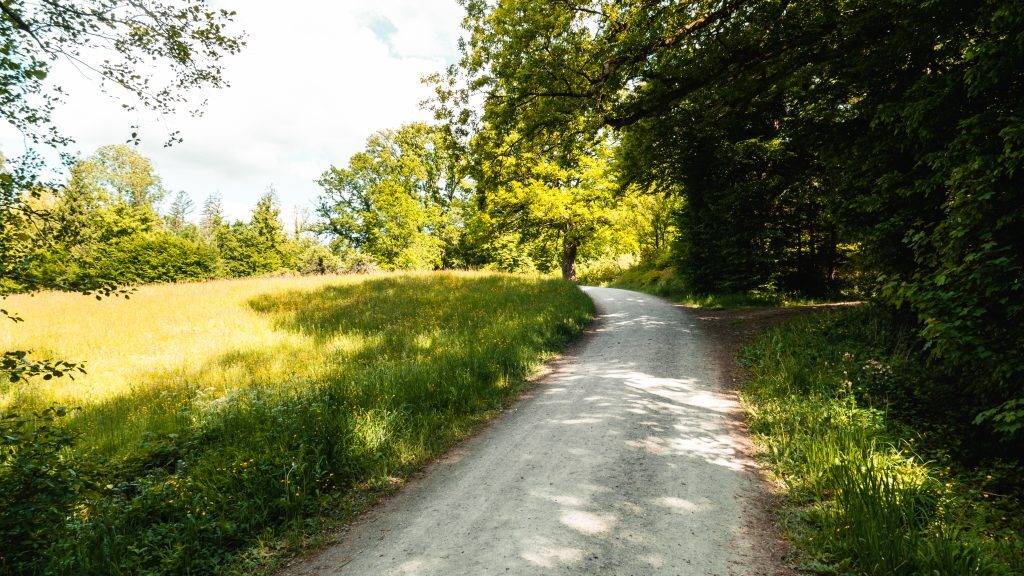 Lorch Wandern