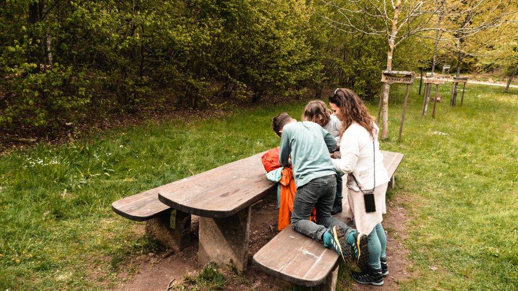 Picknick Holzweg