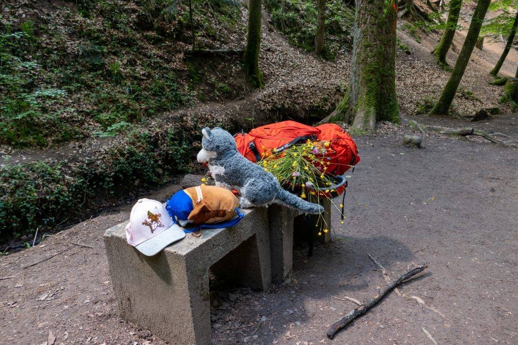 Picknick Kinder Schwäbische Alb