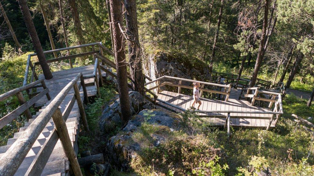 Walderlebniszentrum Ziegelwies Aussichtspunkt