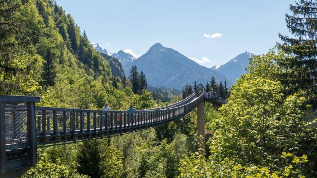 Walderlebniszentrum Ziegelwies Baumkronenweg