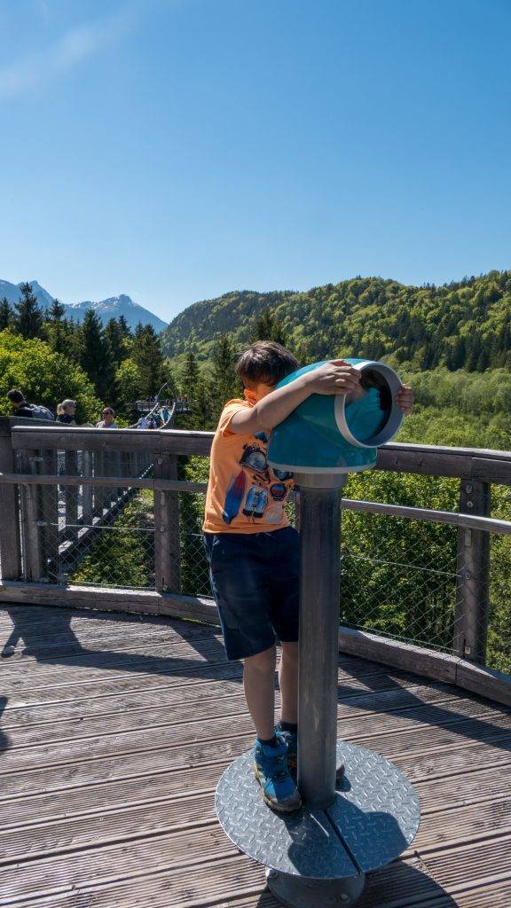 Walderlebniszentrum Ziegelwies Baumkronenweg Ausguck