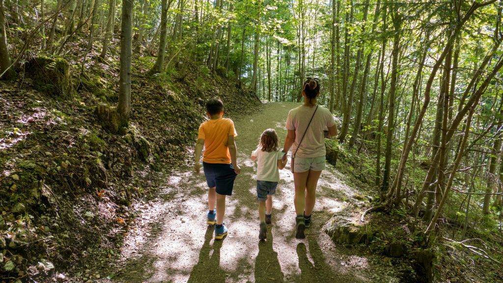 Walderlebniszentrum Ziegelwies Berwaldpfad