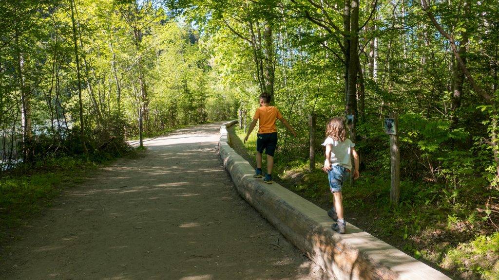 Walderlebniszentrum Ziegelwies Wandern Auwaldpfad