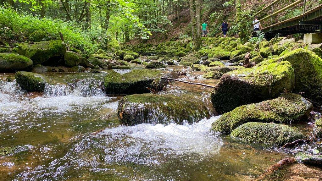 Grobbach Schwarzwald Wasser