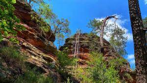 Hauenstein_Wandern